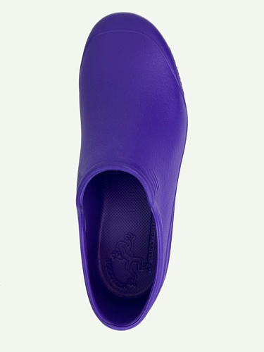 Галоши женские Lucky Land 003 W-EVA-С фиолетовый